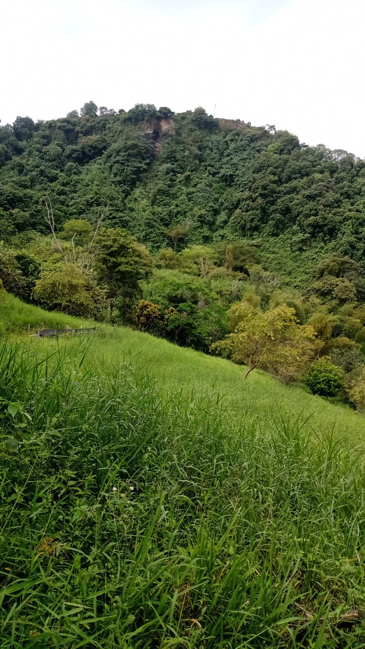 Paisaje natural de Anapoima