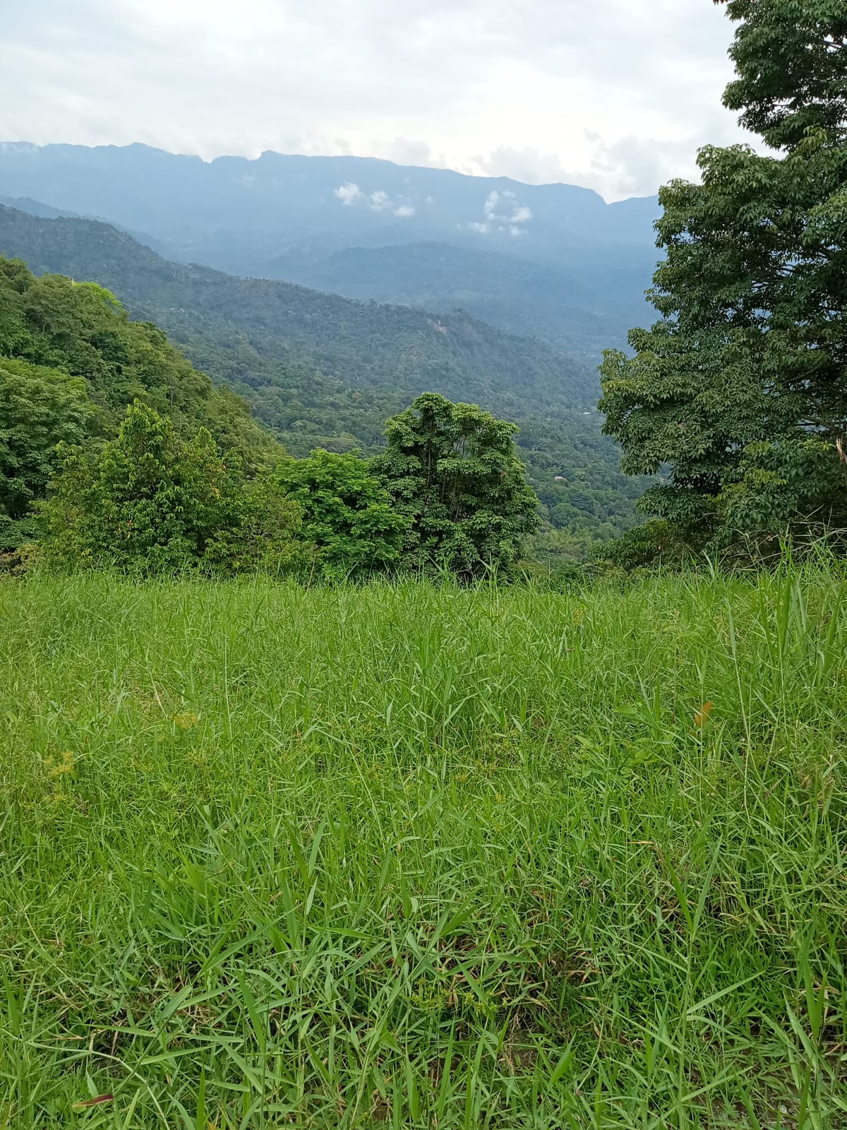 Terreno ideal para Glamping de lujo